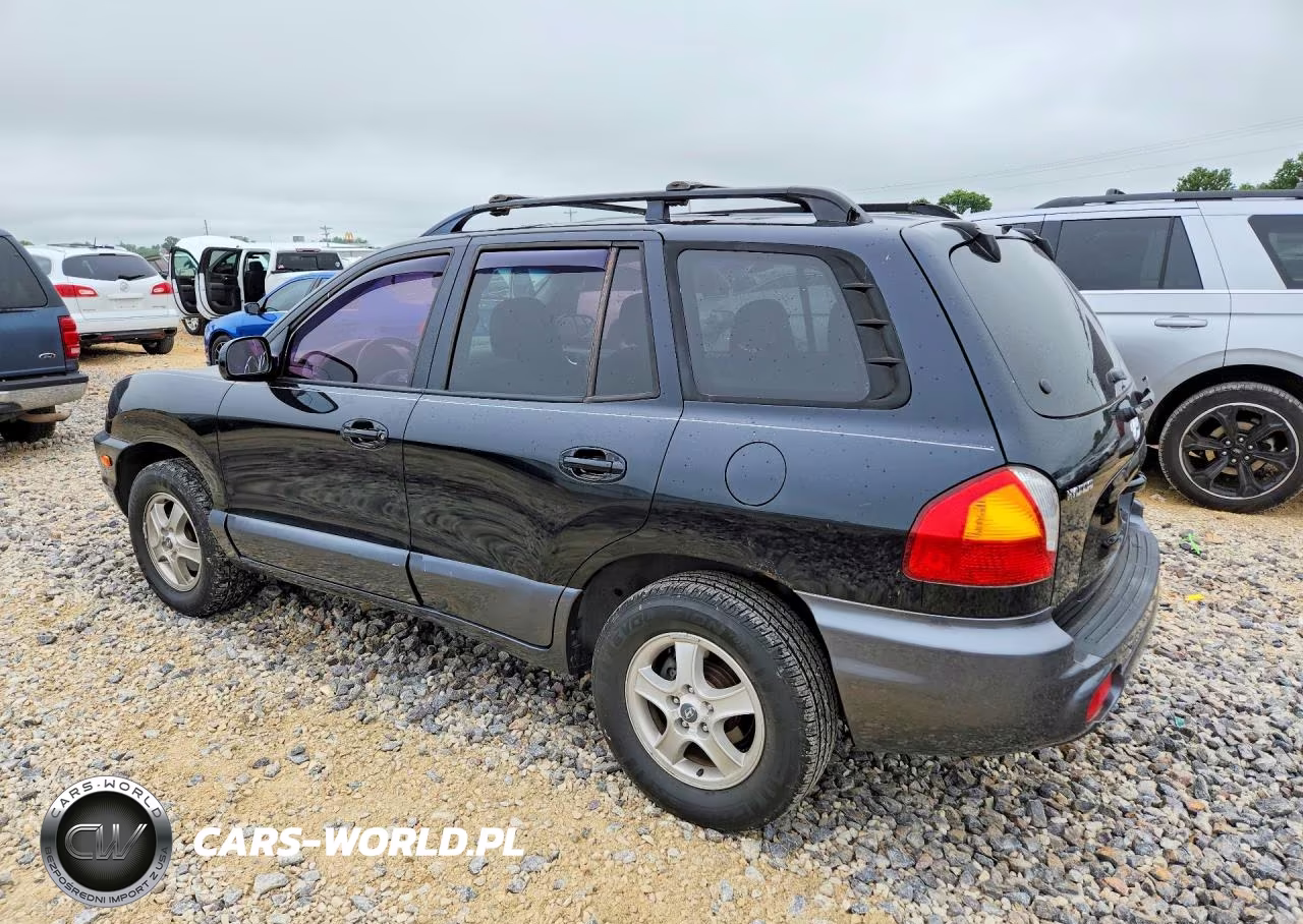 2003 Hyundai Santa Fe Gls VIN:KM8SC13D53U538254 - 2