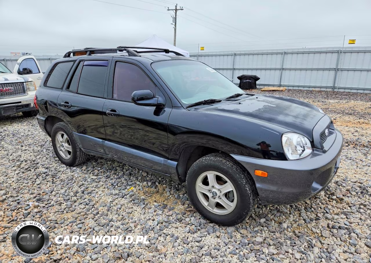 2003 Hyundai Santa Fe Gls VIN:KM8SC13D53U538254 - 4