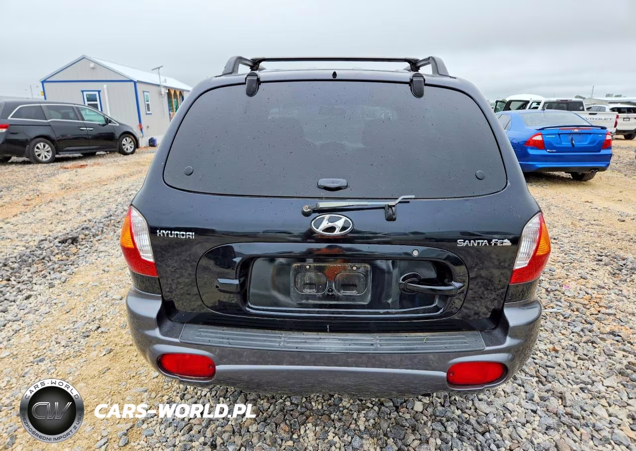 2003 Hyundai Santa Fe Gls VIN:KM8SC13D53U538254 - 6