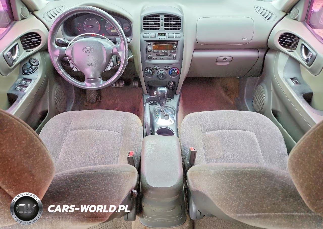 2003 Hyundai Santa Fe Gls VIN:KM8SC13D53U538254 - 8