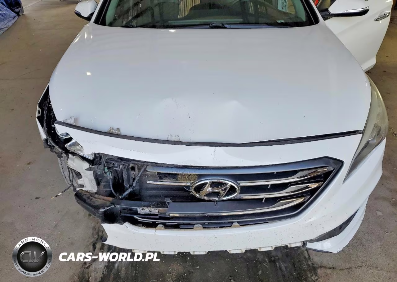 2016 Hyundai Sonata Sport VIN:5NPE34AF1GH261920 - 11