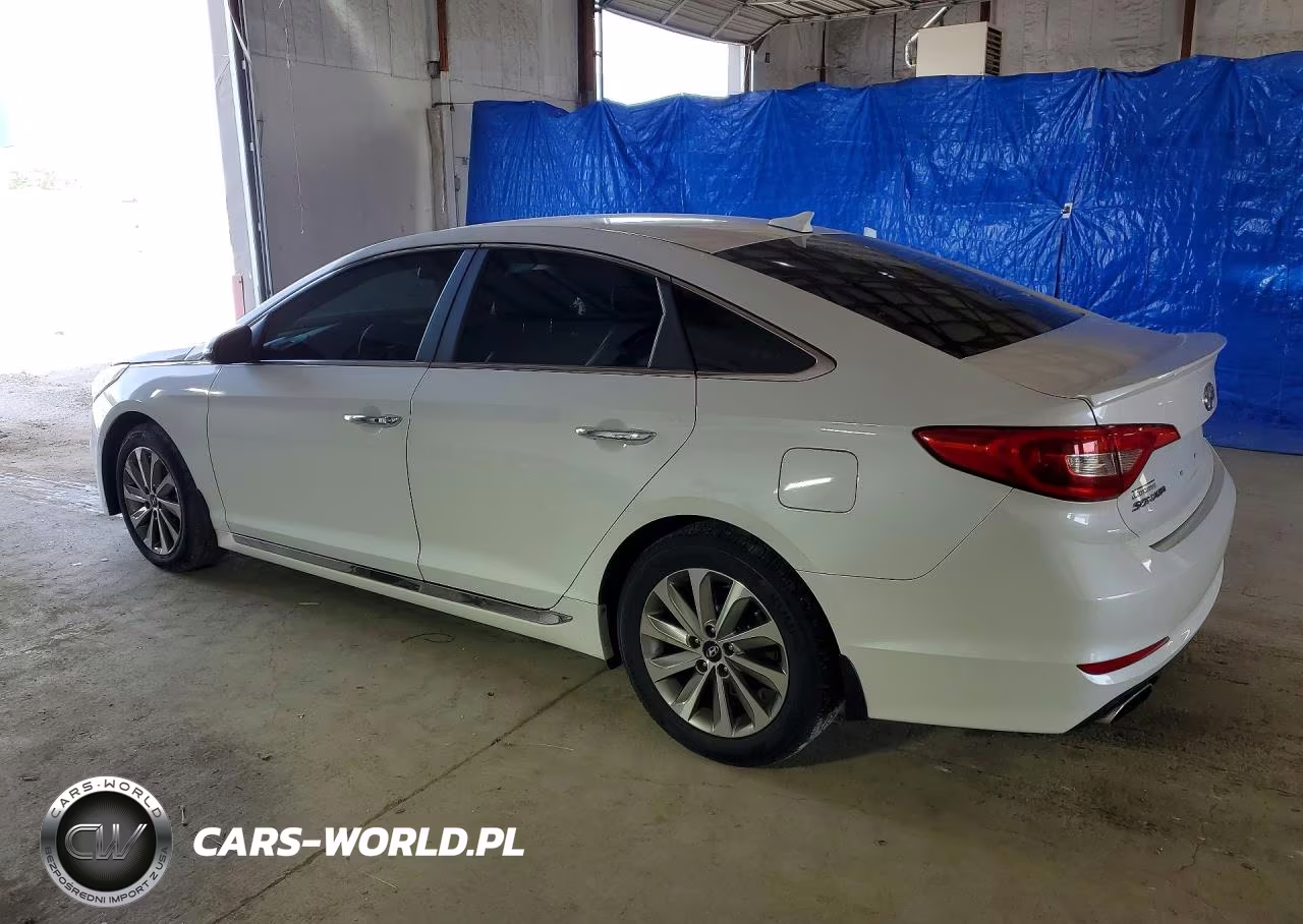 2016 Hyundai Sonata Sport VIN:5NPE34AF1GH261920 - 2
