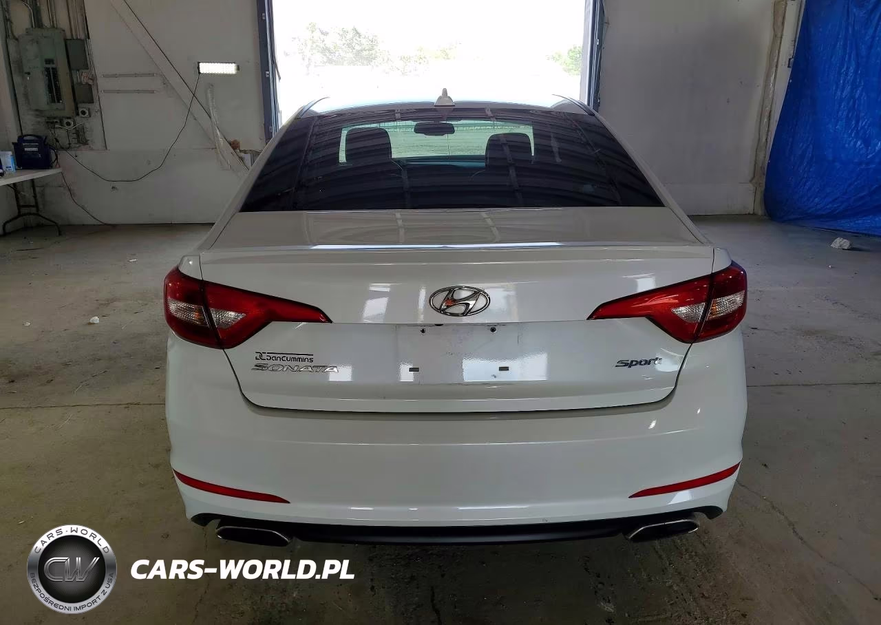 2016 Hyundai Sonata Sport VIN:5NPE34AF1GH261920 - 6