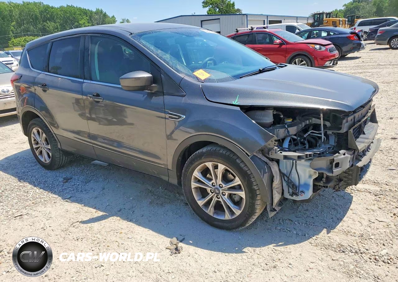 2019 Ford Escape Se VIN:1FMCU0GD1KUB49034 - 4