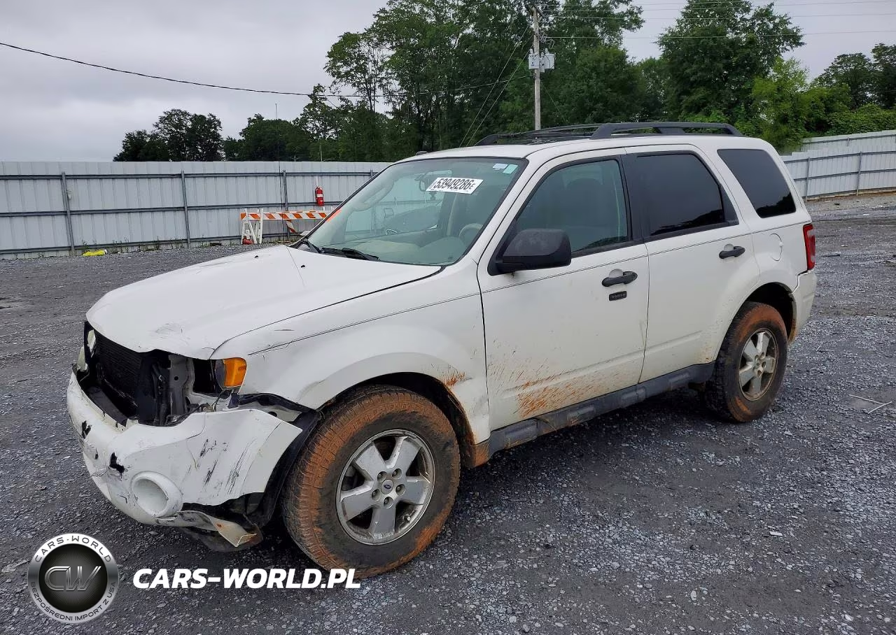 2011 Ford Escape Xlt