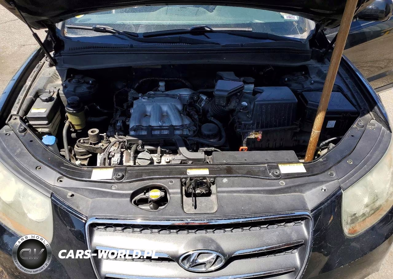 2007 Hyundai Santa Fe Se VIN:5NMSH13E87H100744 - 11
