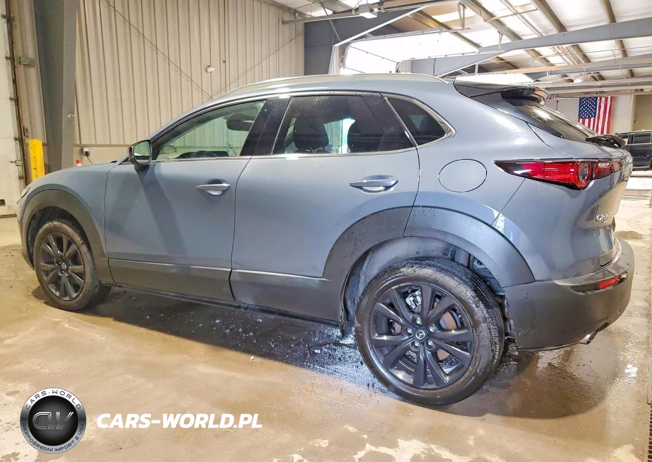 2021 Mazda Cx-30 S Awd VIN:3MVDMBEY9MM310004 - 2