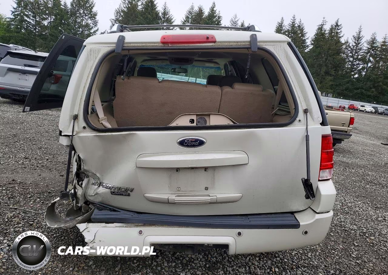 2006 Ford Expedition Limited VIN:1FMFU20506LA81879 - 6