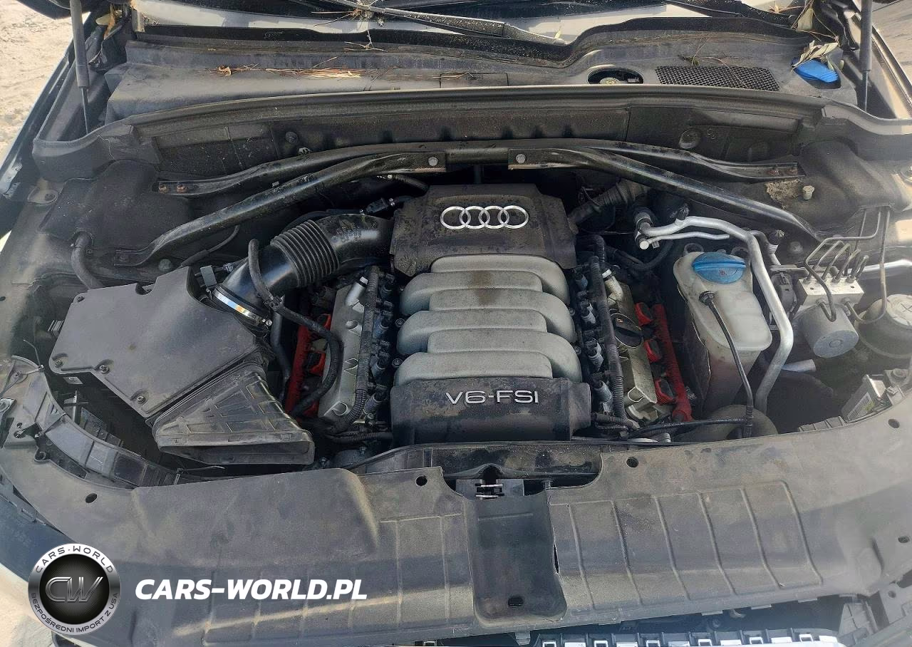 2010 Audi Q5 Premium Plus VIN:WA1LKAFP8AA016812 - 12