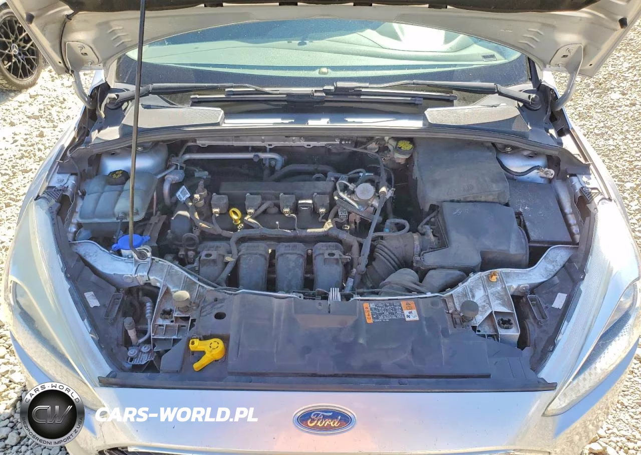 2016 Ford Focus Se VIN:1FADP3F26GL399440 - 11