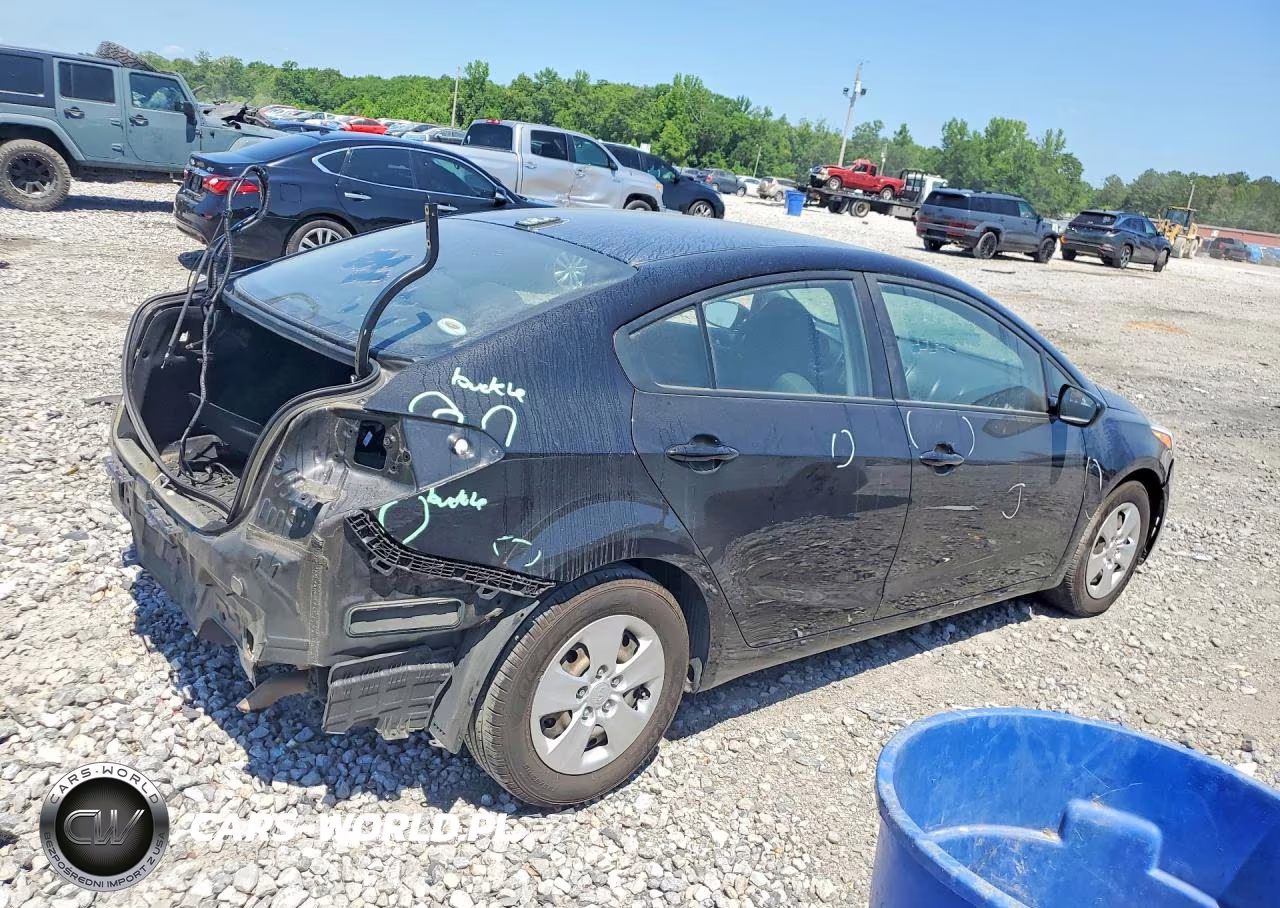 2018 Kia Forte Lx VIN:3KPFL4A77JE209684 - 3