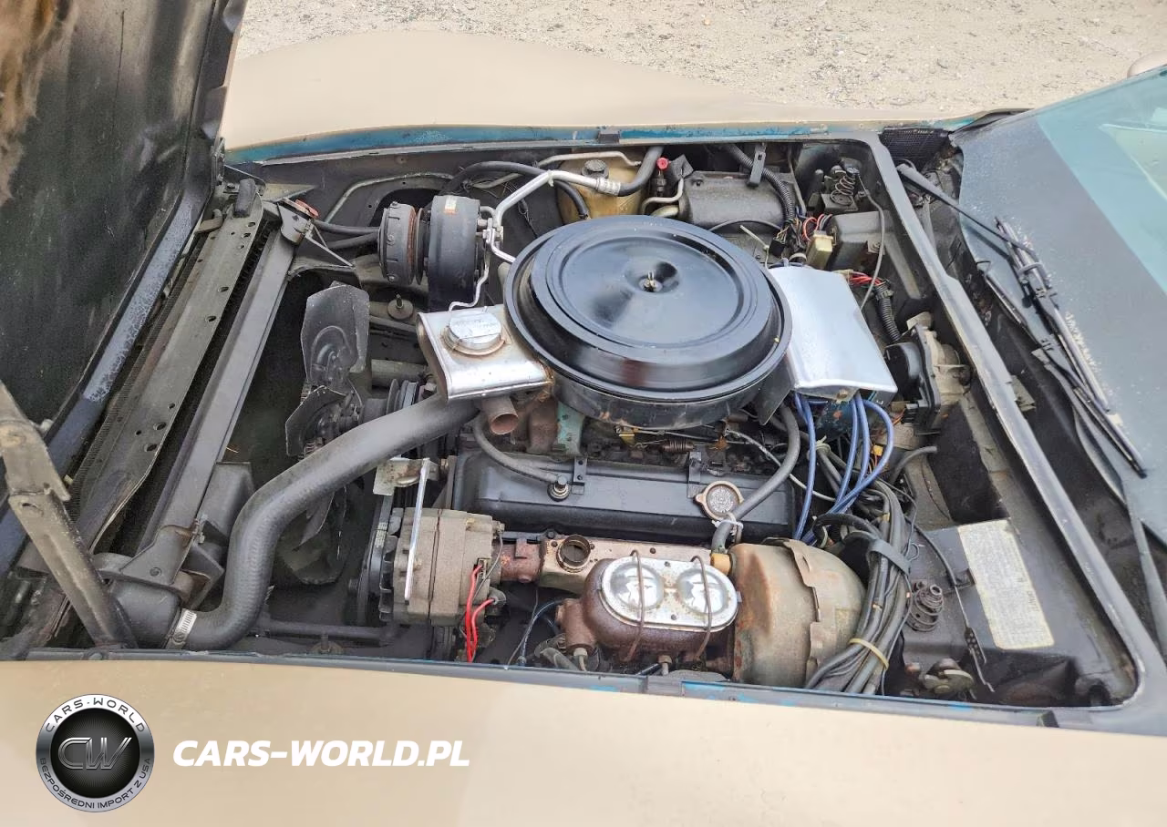 1979 Chevrolet Corvette VIN:1Z8789S403398 - 11