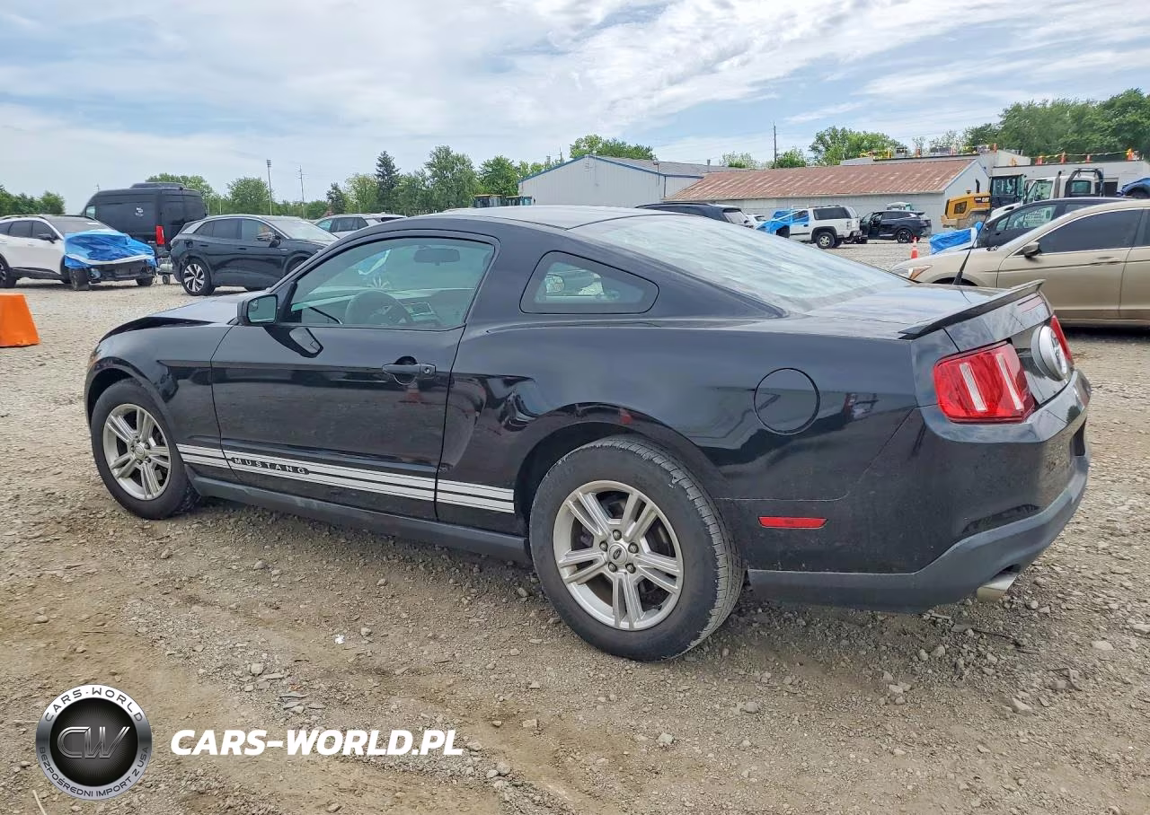 2011 Ford Mustang VIN:1ZVBP8AM8B5151577 - 2