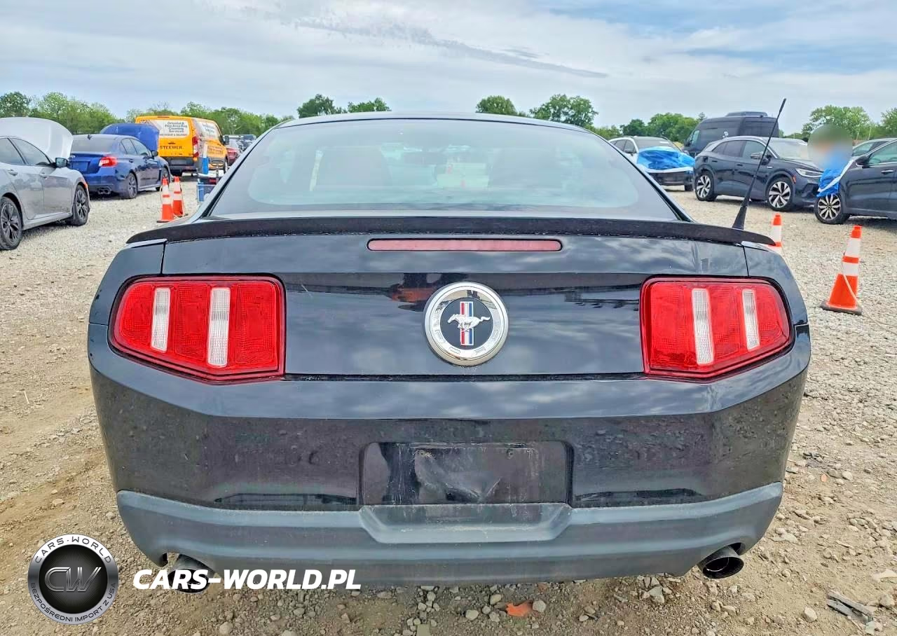 2011 Ford Mustang VIN:1ZVBP8AM8B5151577 - 6