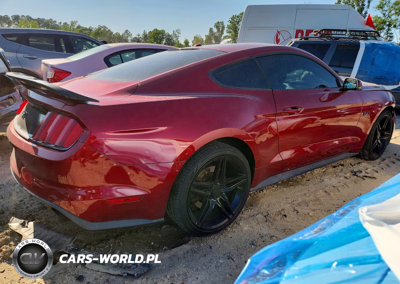 2015 Ford Mustang Gt VIN:1FA6P8CF2F5312889 - 3