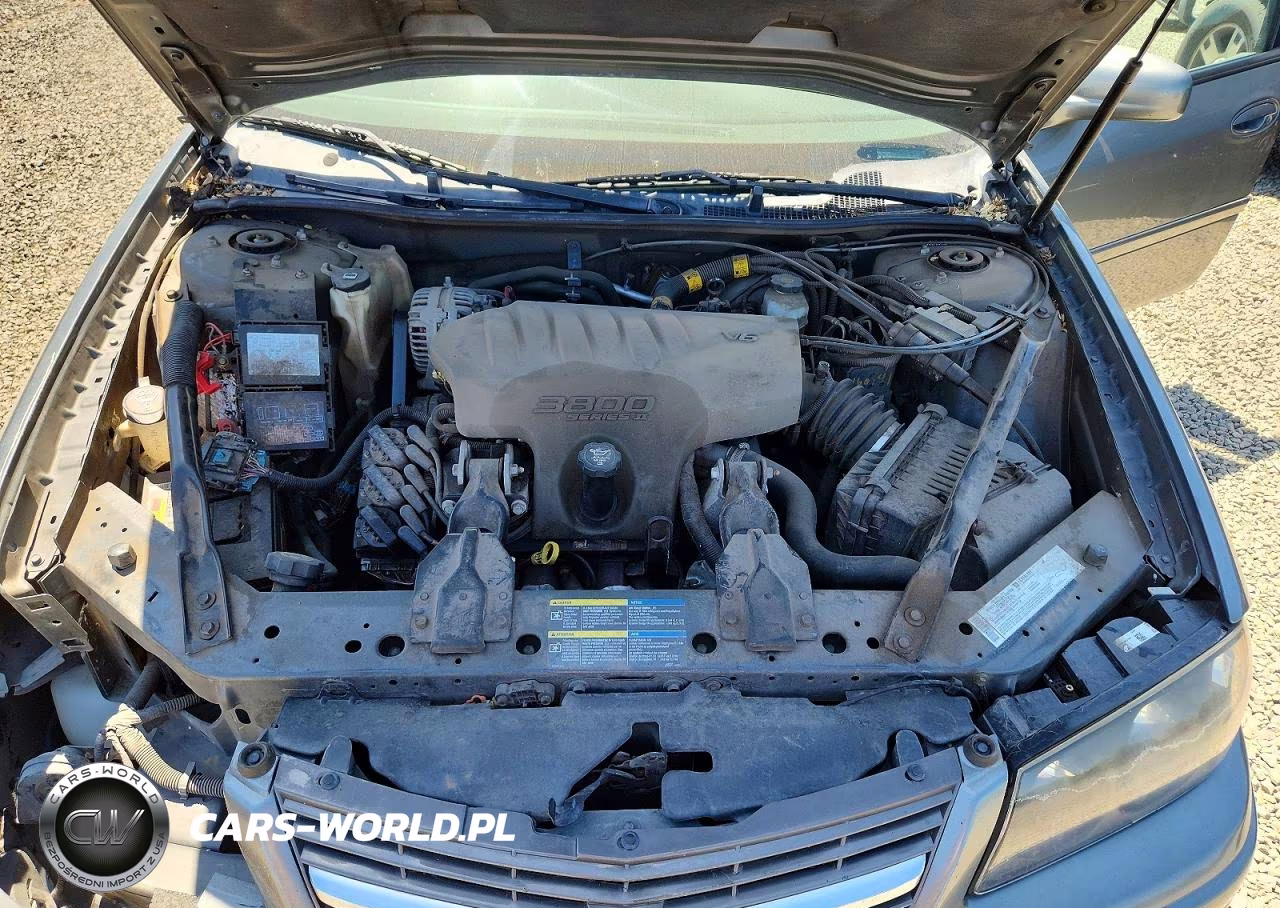 2005 Chevrolet Impala Ls VIN:2G1WH55K359300826 - 11
