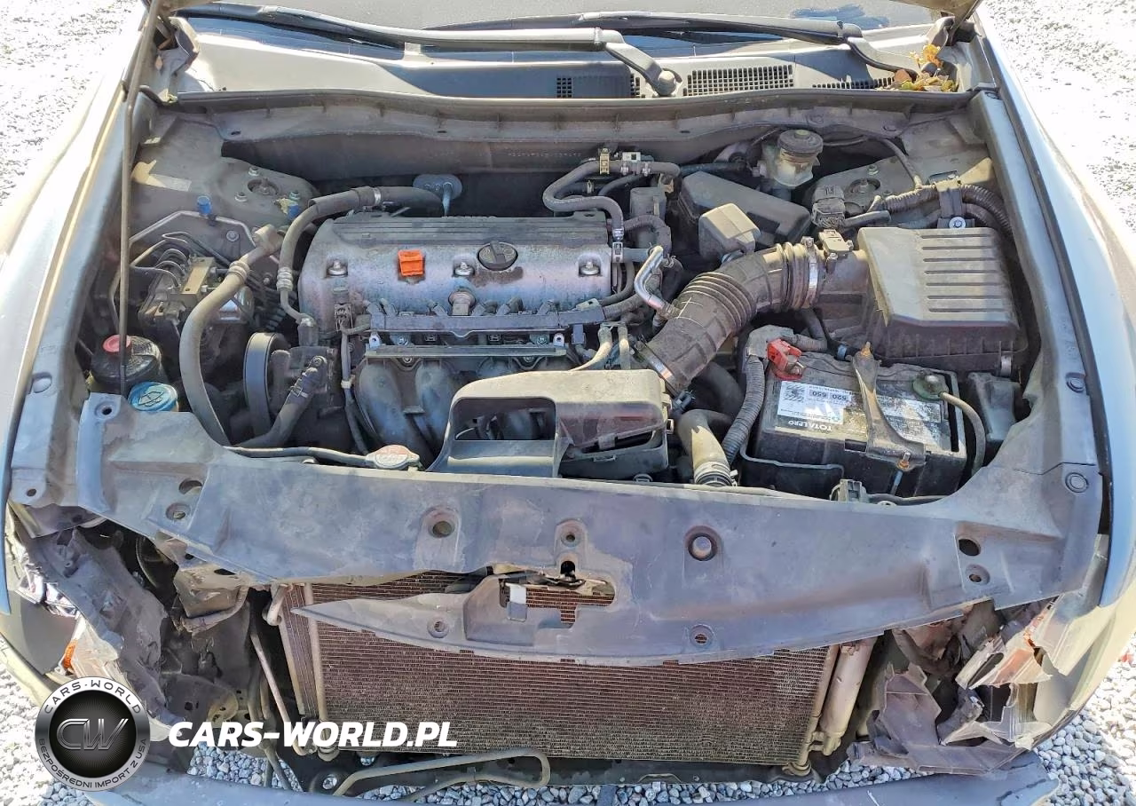 2011 Honda Accord Lx VIN:1HGCP2F34BA029392 - 11