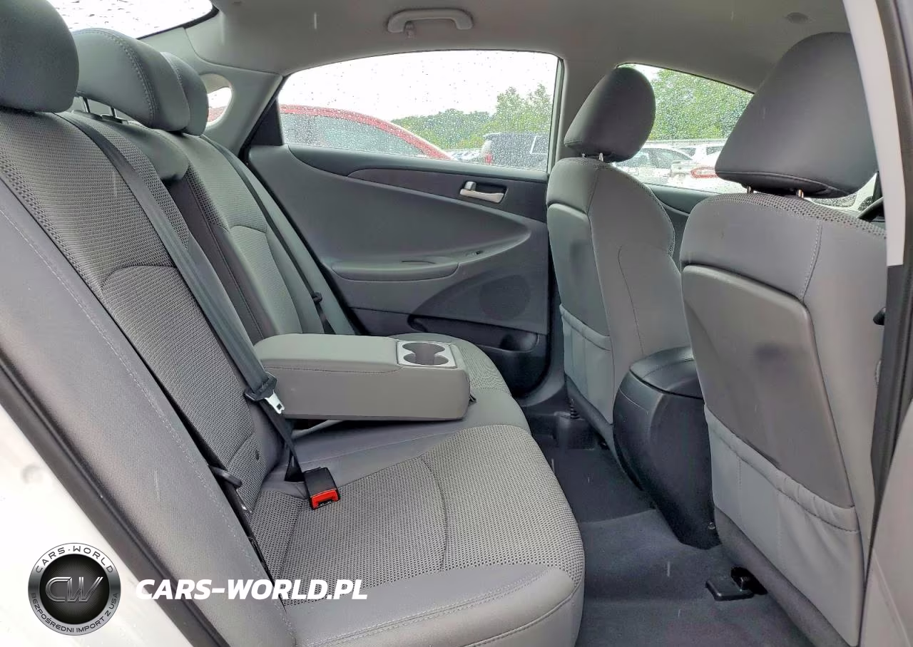 2014 Hyundai Sonata Gls VIN:5NPEB4AC9EH821429 - 10