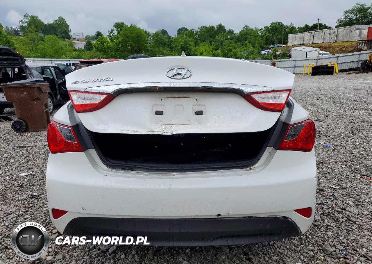 2014 Hyundai Sonata Gls VIN:5NPEB4AC9EH821429 - 6