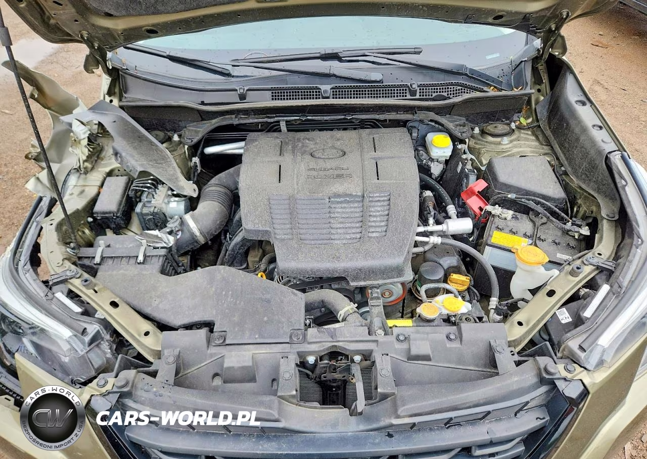 2023 Subaru Forester Limited VIN:JF2SKAPC4PH527125 - 12