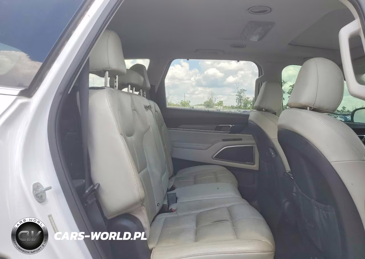 2020 Kia Telluride Ex VIN:5XYP34HC6LG011594 - 11