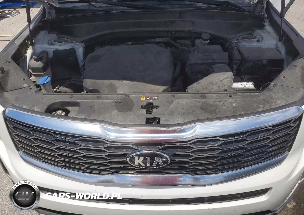 2020 Kia Telluride Ex VIN:5XYP34HC6LG011594 - 12