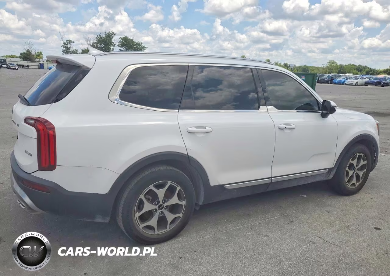 2020 Kia Telluride Ex VIN:5XYP34HC6LG011594 - 3