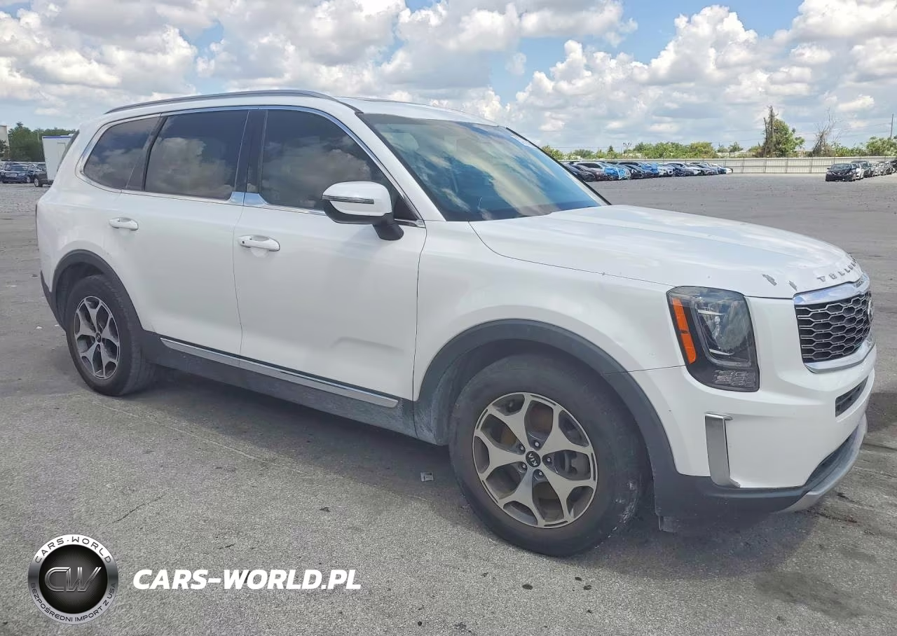 2020 Kia Telluride Ex VIN:5XYP34HC6LG011594 - 4