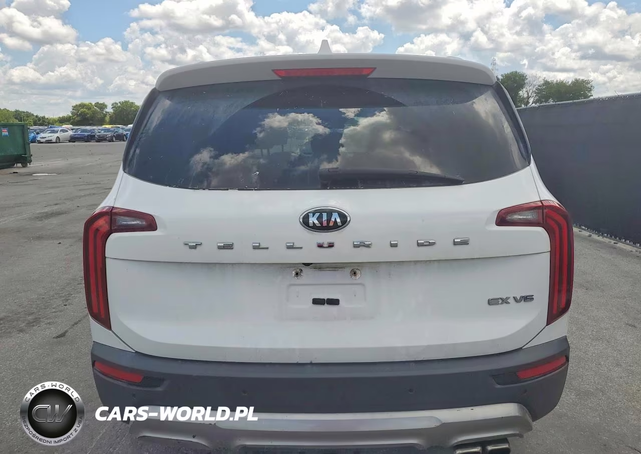 2020 Kia Telluride Ex VIN:5XYP34HC6LG011594 - 6
