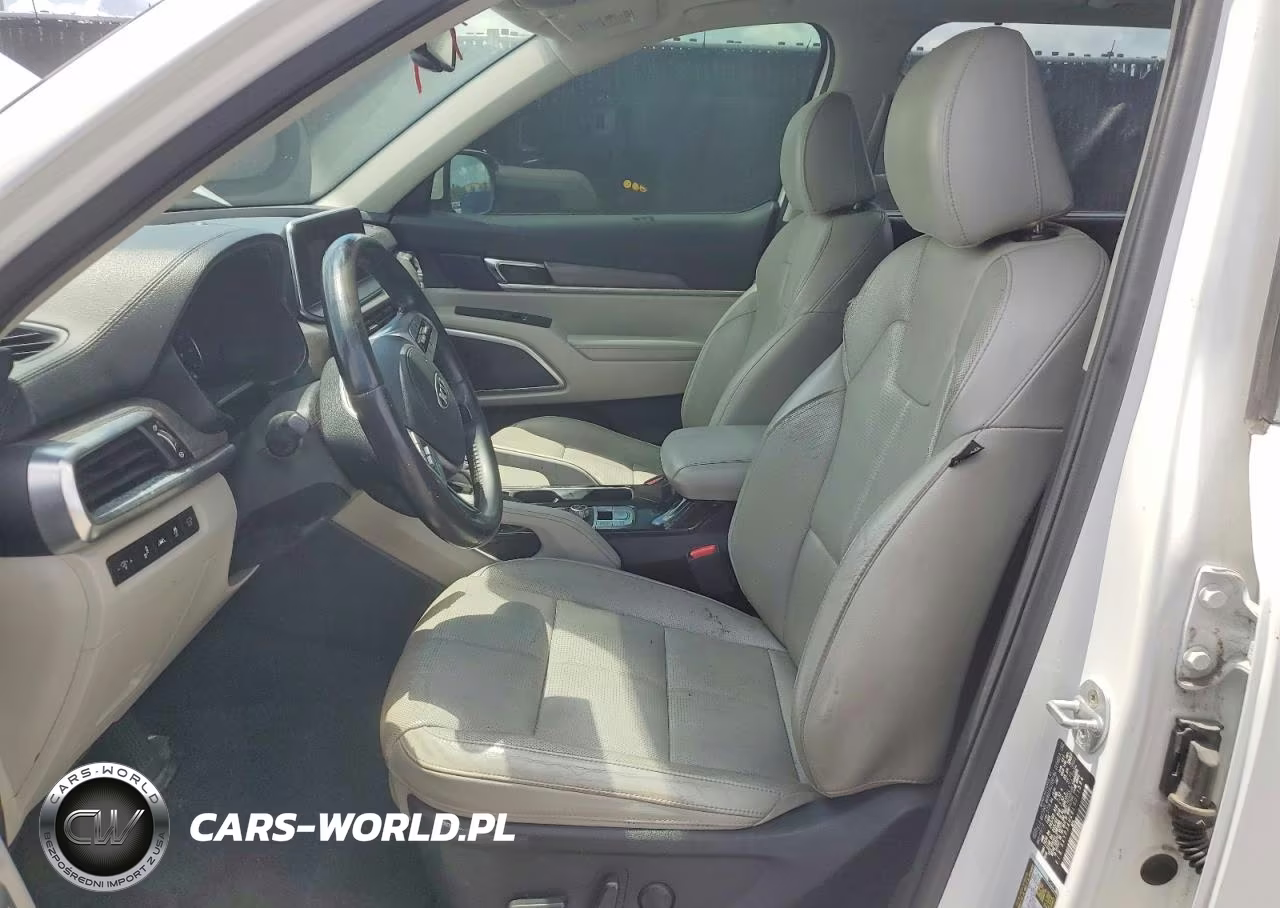 2020 Kia Telluride Ex VIN:5XYP34HC6LG011594 - 7