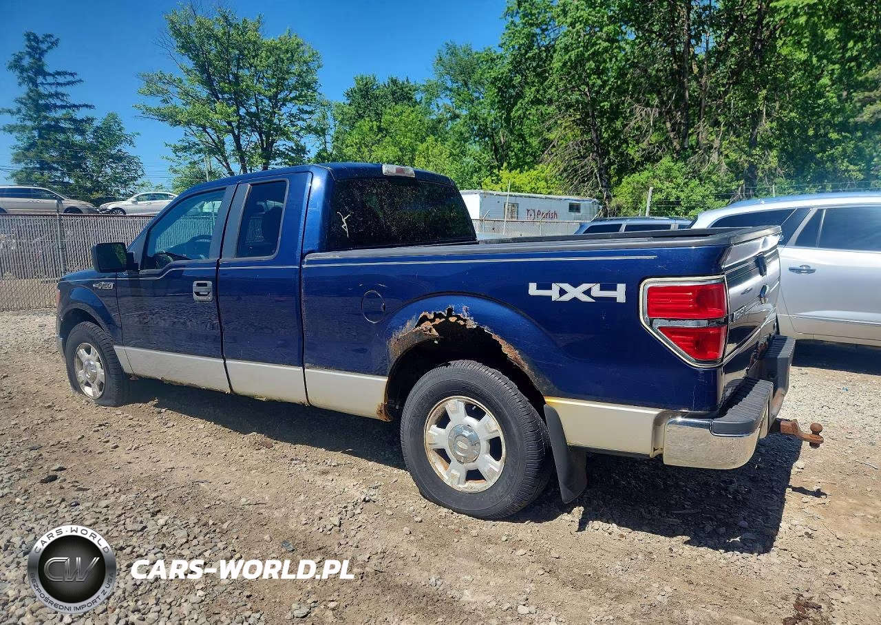 2010 Ford F150 Super Cab VIN:1FTFX1EVXAFA87534 - 2