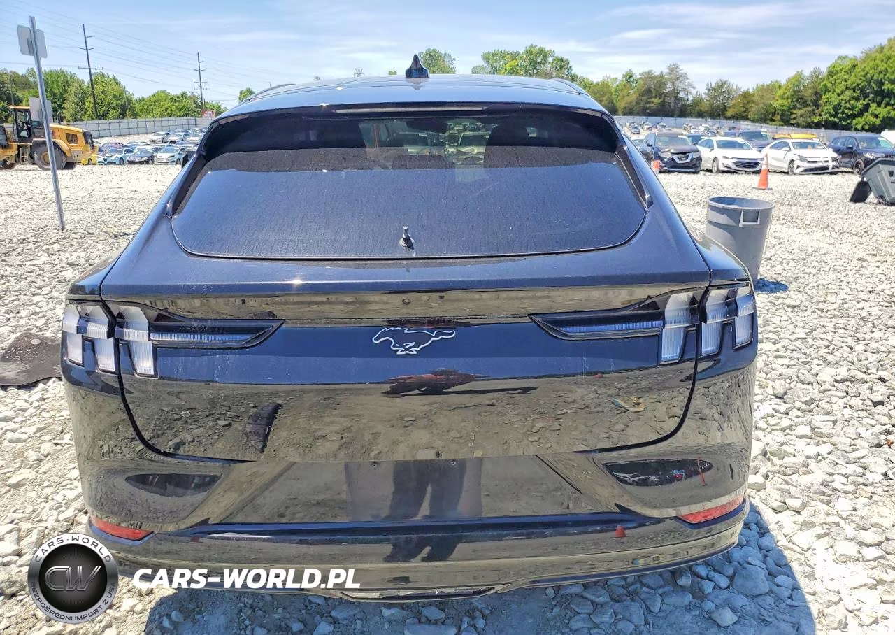 2023 Ford Mustang Mach-E Premium VIN:3FMTK3SU9PMA70351 - 6