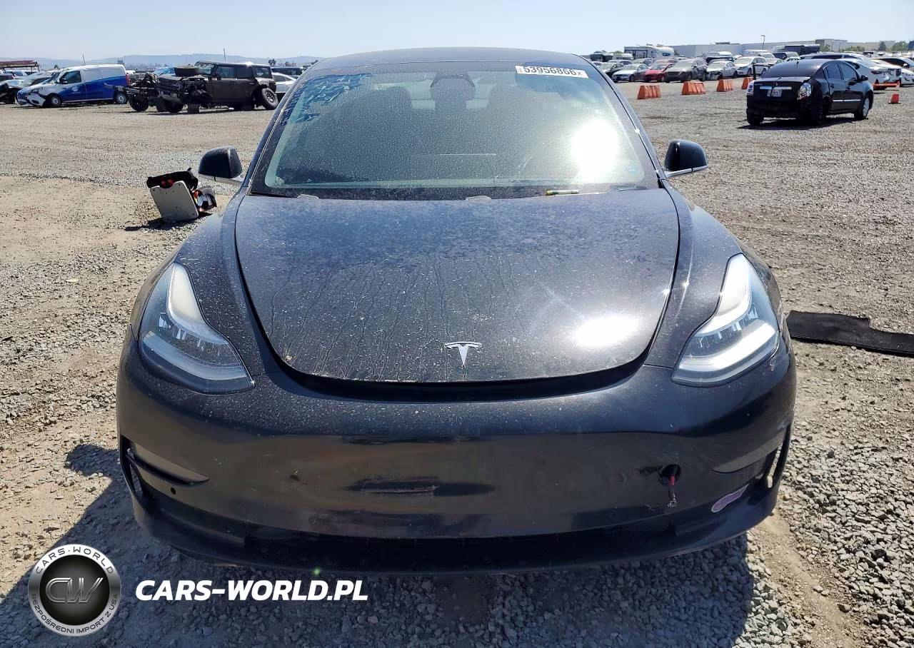 2019 Tesla Model 3 VIN:5YJ3E1EA5KF410156 - 5