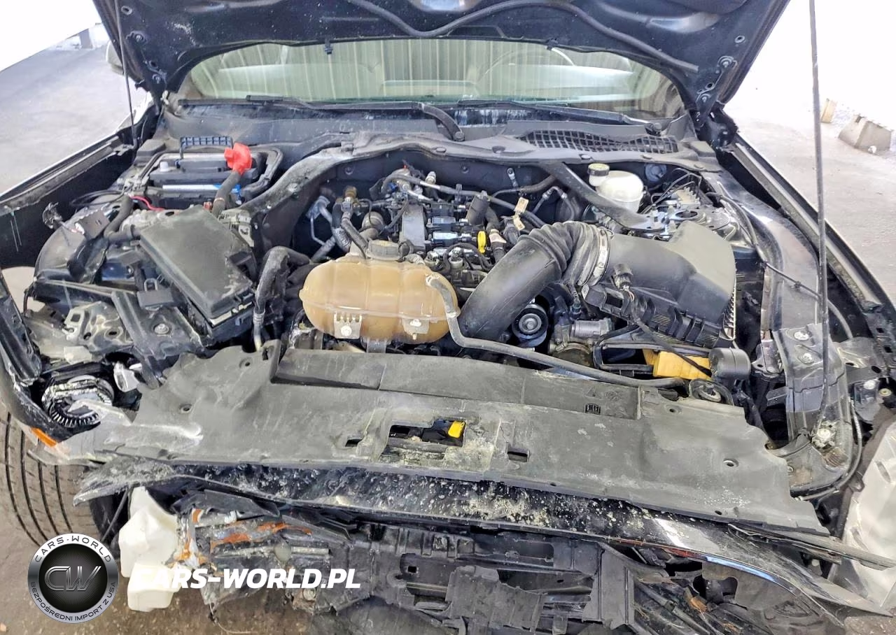 2020 Ford Mustang VIN:1FATP8UH1L5137713 - 11