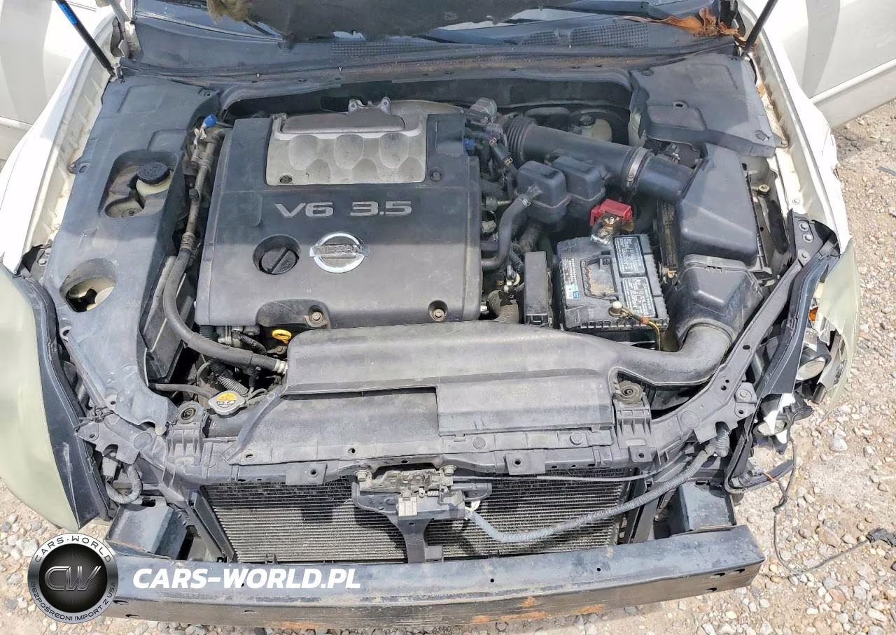 2004 Nissan Maxima 3.5 Se VIN:1N4BA41E34C855373 - 11