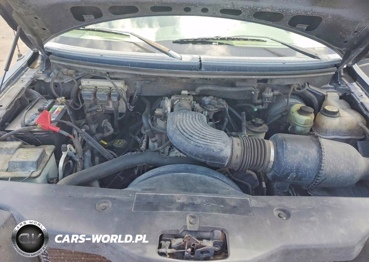 2004 Ford F150 VIN:1FTRX12W44NC42339 - 11