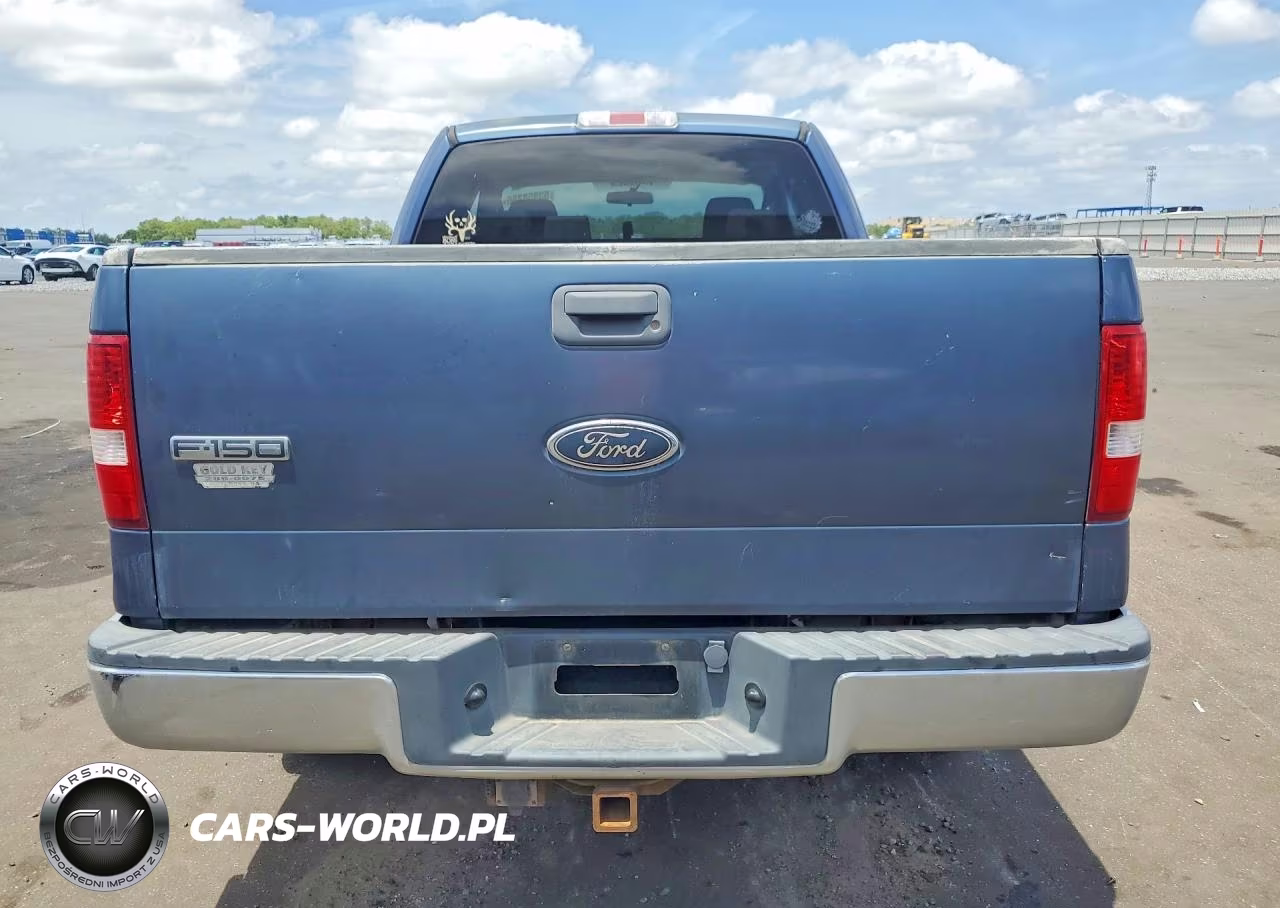 2004 Ford F150 VIN:1FTRX12W44NC42339 - 6