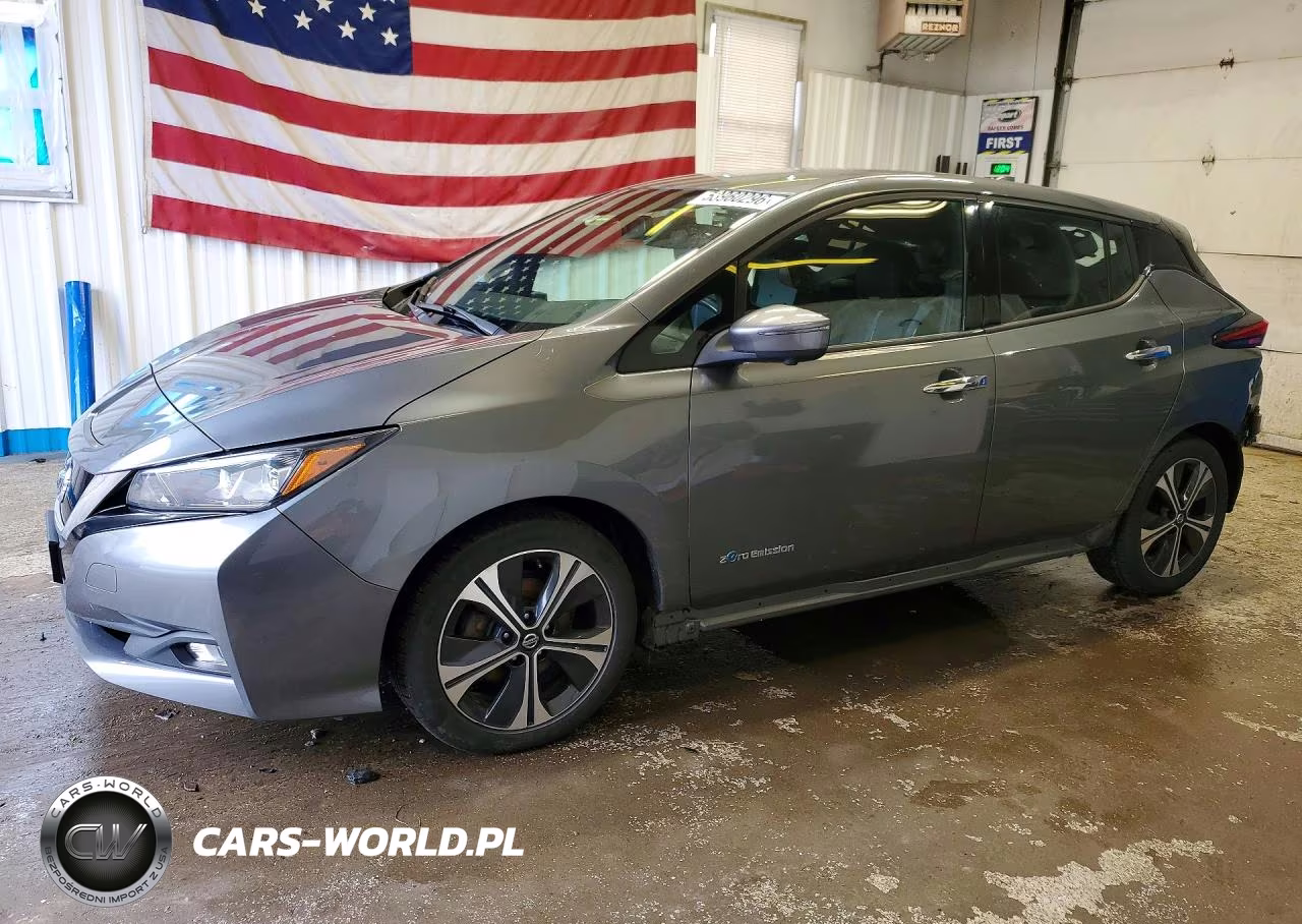 2019 Nissan Leaf Sl