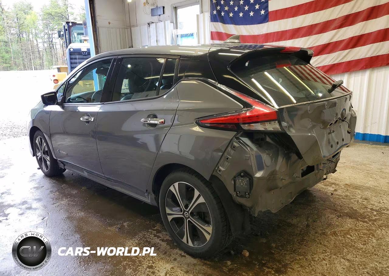 2019 Nissan Leaf Sl VIN:1N4AZ1CP6KC303008 - 2