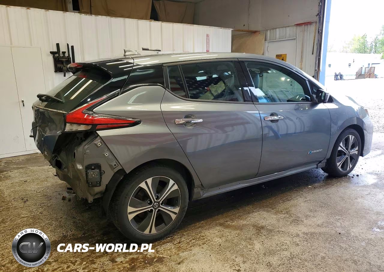 2019 Nissan Leaf Sl VIN:1N4AZ1CP6KC303008 - 3