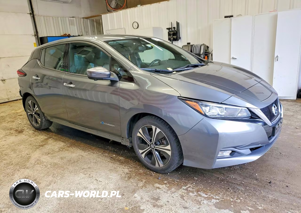 2019 Nissan Leaf Sl VIN:1N4AZ1CP6KC303008 - 4
