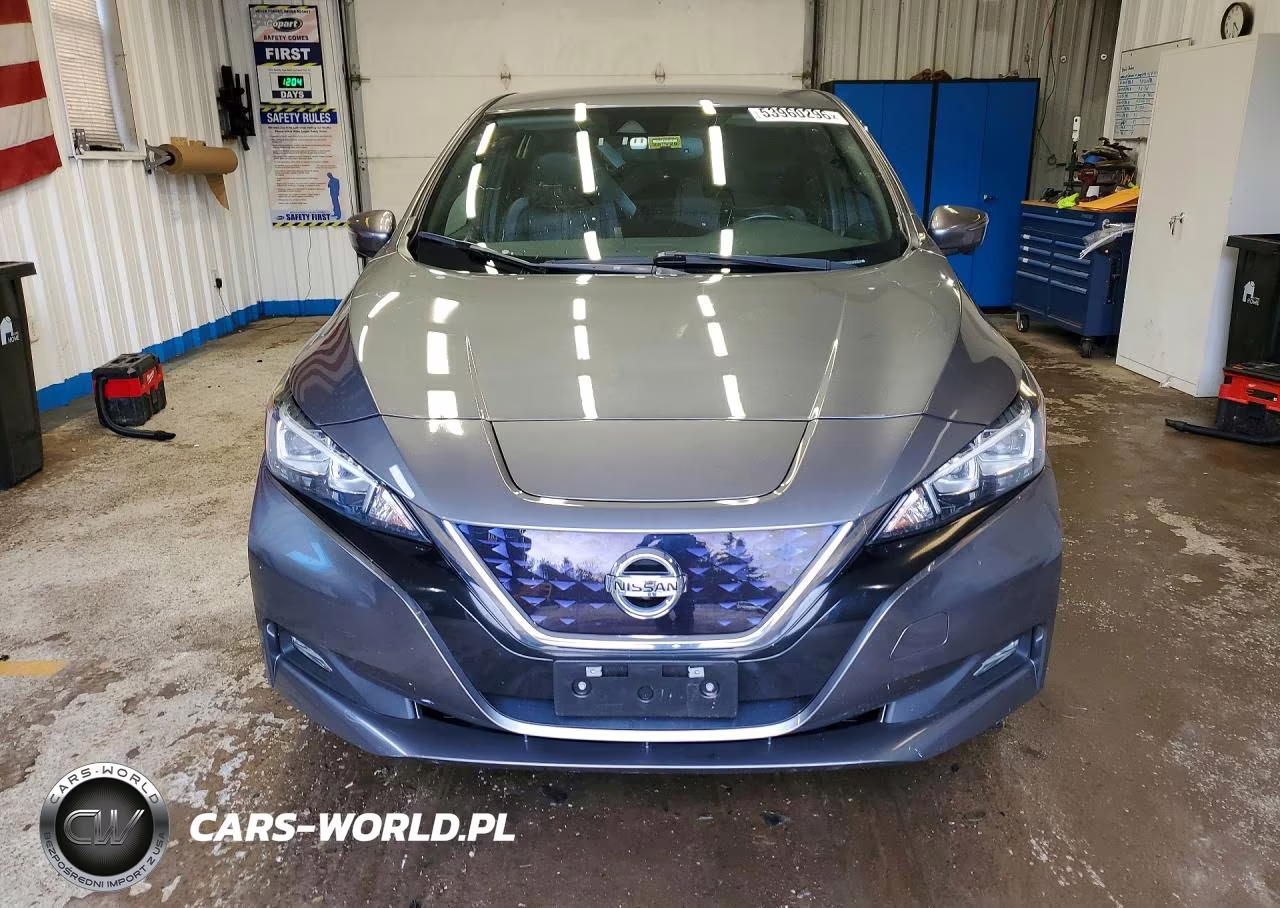 2019 Nissan Leaf Sl VIN:1N4AZ1CP6KC303008 - 5