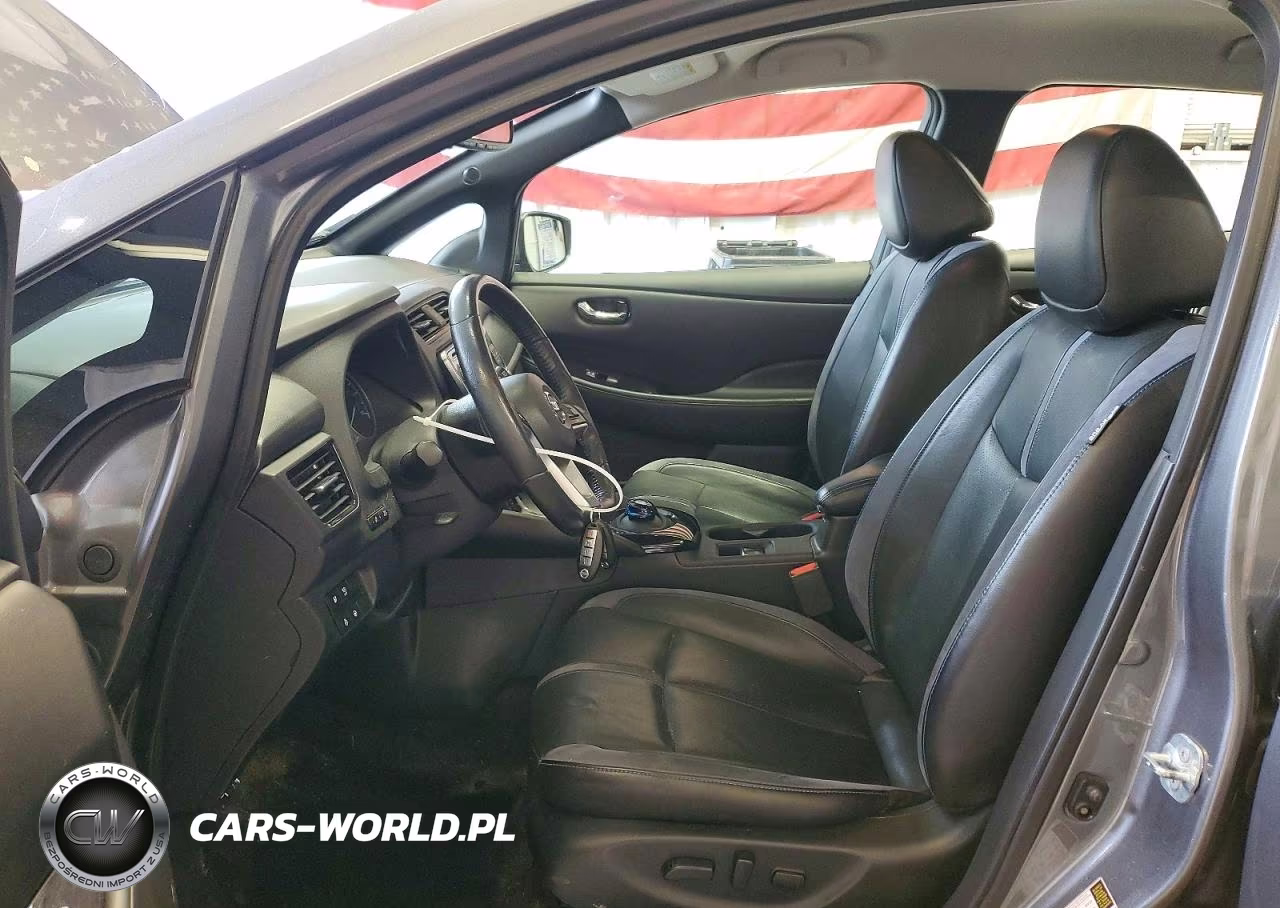 2019 Nissan Leaf Sl VIN:1N4AZ1CP6KC303008 - 7