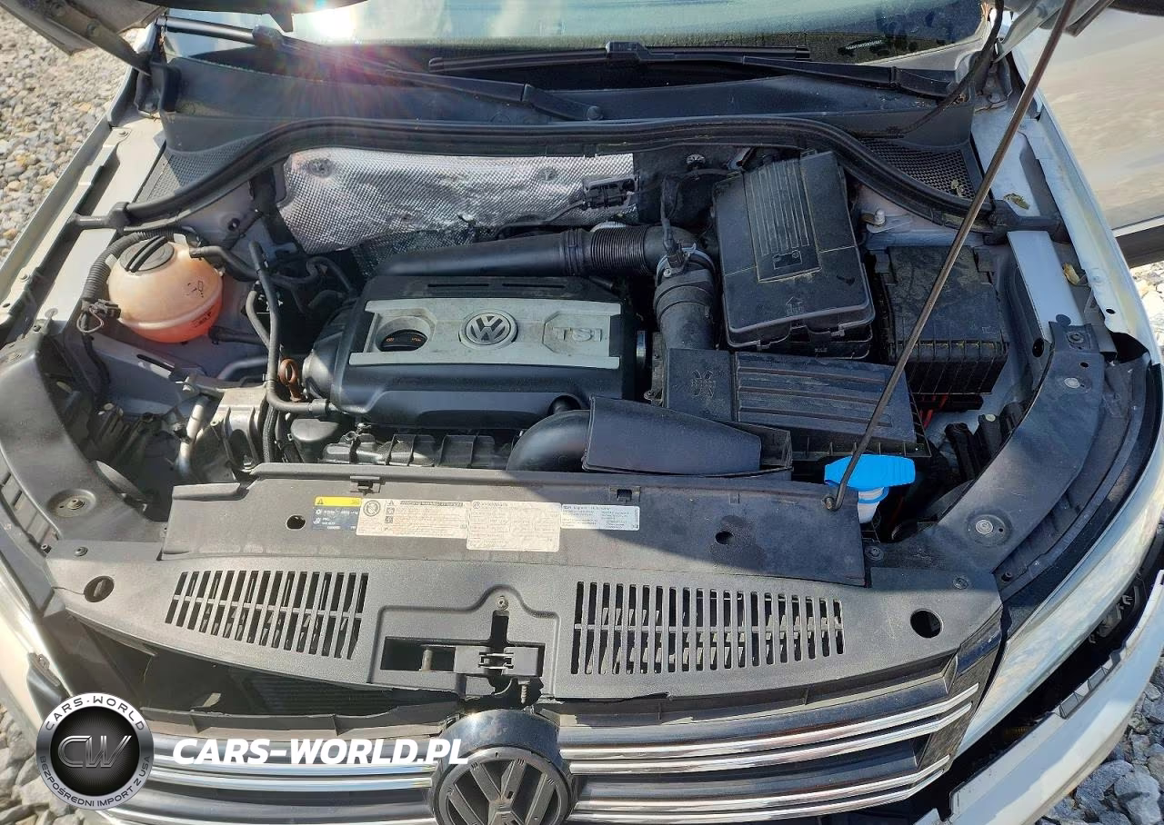 2013 Volkswagen Tiguan S VIN:WVGAV7AX7DW557531 - 12