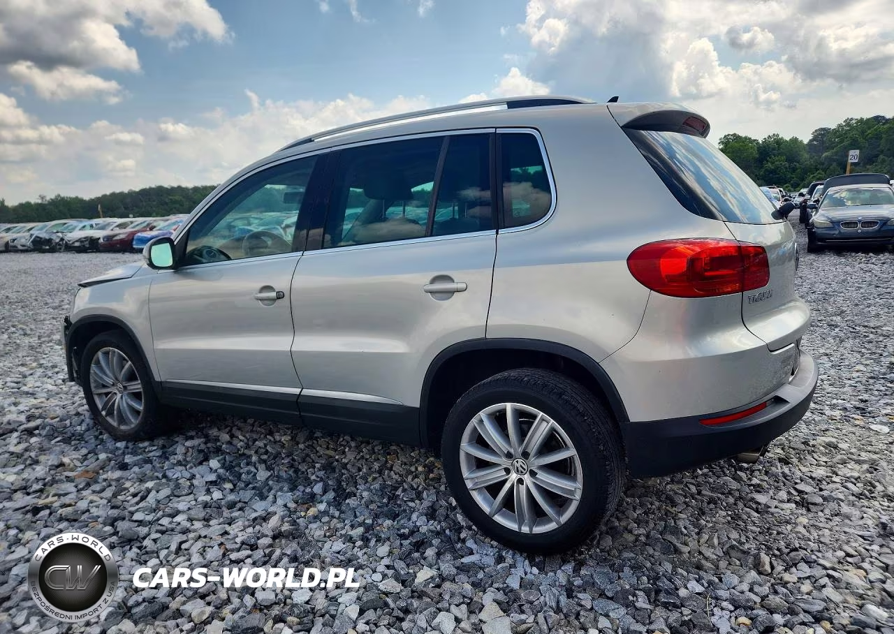 2013 Volkswagen Tiguan S VIN:WVGAV7AX7DW557531 - 2