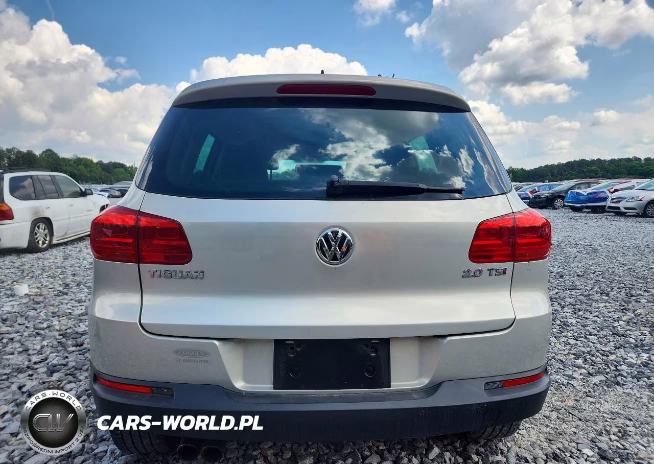 2013 Volkswagen Tiguan S VIN:WVGAV7AX7DW557531 - 6