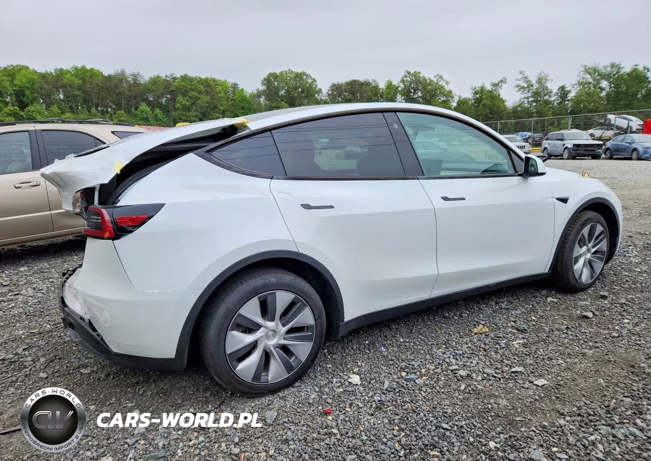 2023 Tesla Model Y VIN:7SAYGDEEXPA060924 - 3
