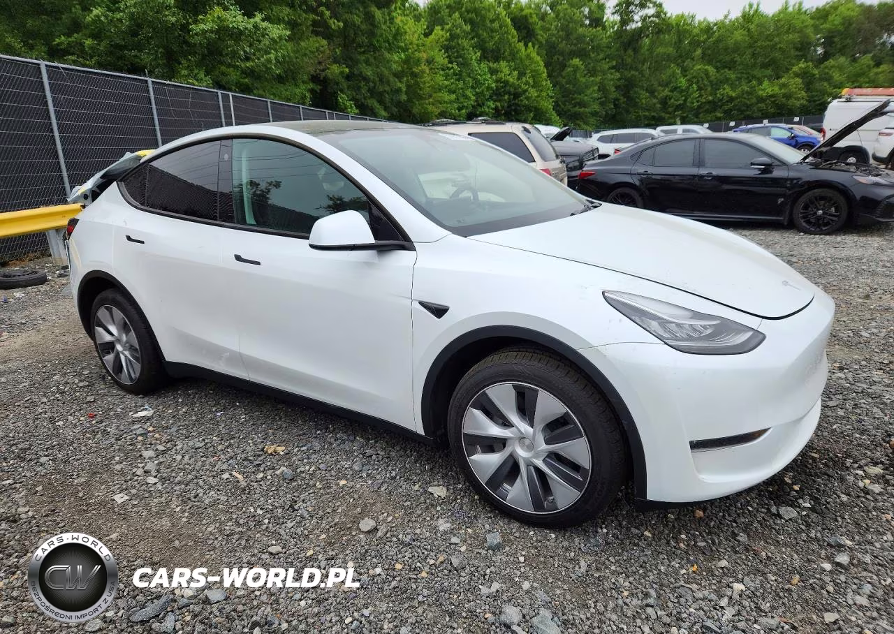 2023 Tesla Model Y VIN:7SAYGDEEXPA060924 - 4