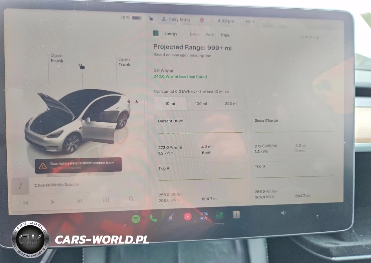 2023 Tesla Model Y VIN:7SAYGDEEXPA060924 - 9