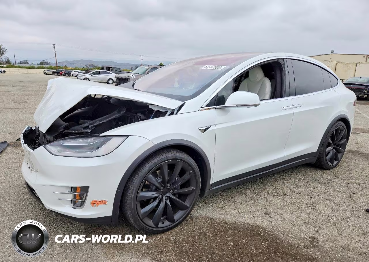 2020 Tesla Model X
